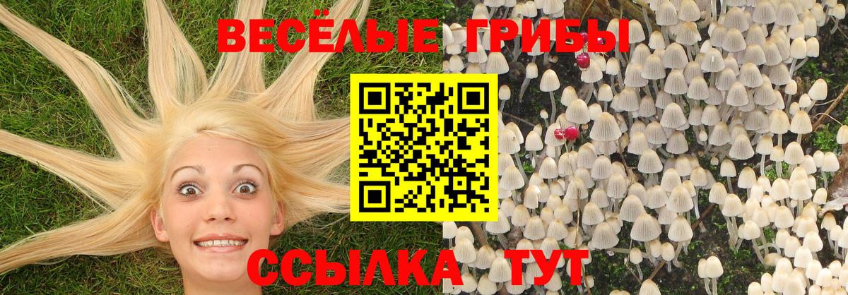 Краснодар  Галлюциногенные грибы Magic Shrooms  Вход с VPN 