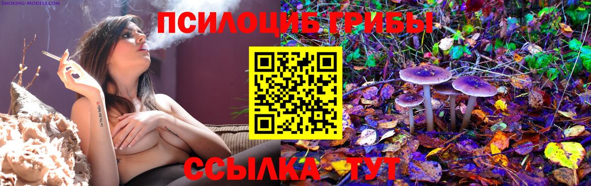Псилоцибиновые грибы прущие грибы Краснодар